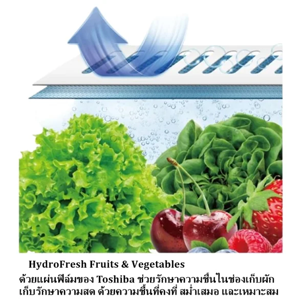 Toshiba ตู้เย็น 4 ประตู รุ่น GR-RF690WI 18.8 คิว โตชิบา image 9 Toshiba ตู้เย็น 4 ประตู รุ่น GR-RF690WI 18.8 คิว โตชิบา image 9